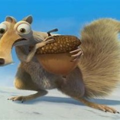 paca-