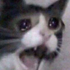 mic4h avatar