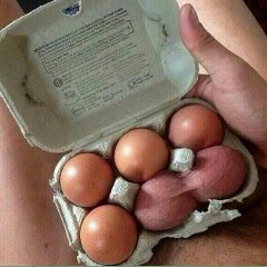 lillepenis