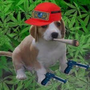 y0ungb0ng avatar