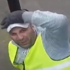 freeziep avatar