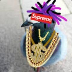 Player JuniorSTY avatar