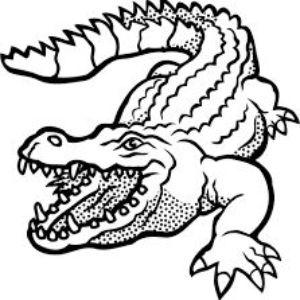 Player LaCosta_- avatar