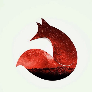 foxfoxfoxxx avatar
