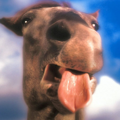 CheddarJack