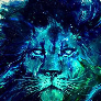 mandarinjkee avatar