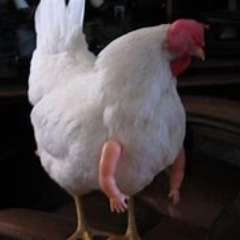 OsamaBonJov