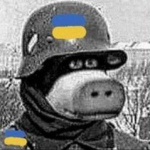 maks1m4ick avatar