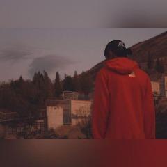 arashvelash avatar