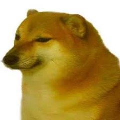 Doggo_Cs