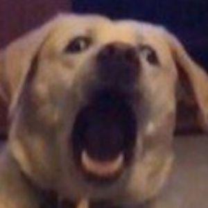 Altrox_