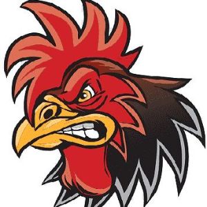 Des0LatoR
