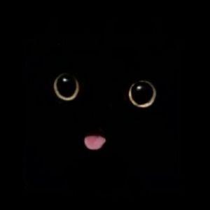 PaVeL-D avatar