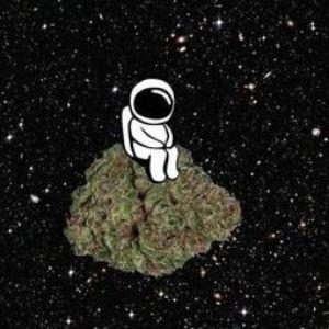 50FLeX avatar