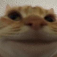 busje avatar