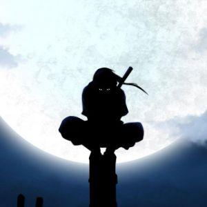 Znjeca avatar