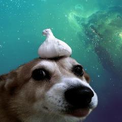 Player mattogod avatar