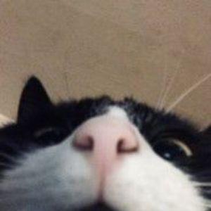 Robzy_