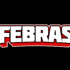 skFebraS0908