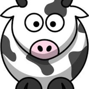 BIGMOO00 avatar