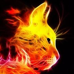 M0CbKA avatar