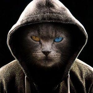 Player iVERSONCSGO avatar