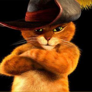 Player Sr_CAT avatar