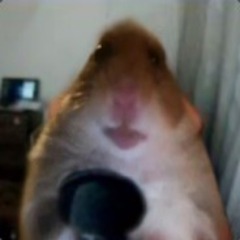Pipsayyy