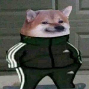 Niksona14 avatar
