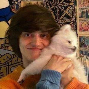 Player FaceitKngv avatar