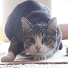 Svvvvv