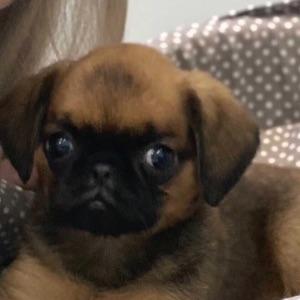 DanyaLi avatar
