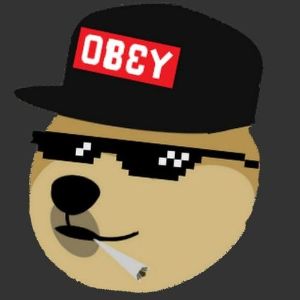 0laf1337 FACEIT avatar