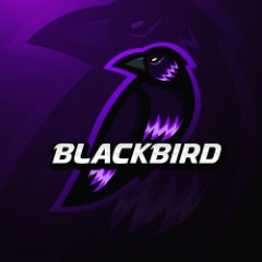 team_FallzG