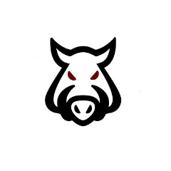 Faceit profile picture for @boar