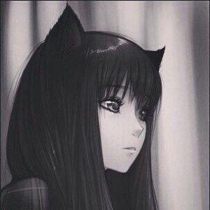 bestwrld avatar