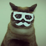 Raffin