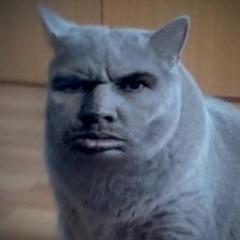5T3P avatar