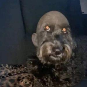 Kogda_KAK avatar