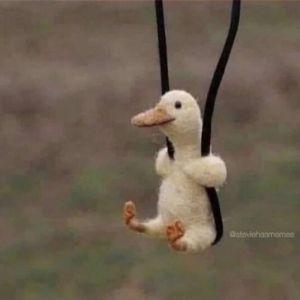 choxzyy avatar