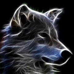 NateDogw007 avatar