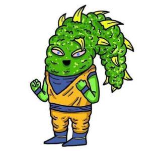Djenotrius avatar