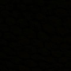 staaails avatar