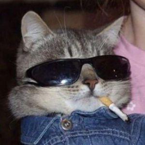 Player KinGJxse avatar