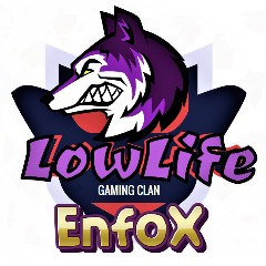 Enfox - Player Profile - FACEIT.com