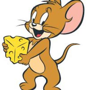 TomsiJerry