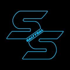 SaltySalV avatar