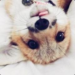 inkahh avatar