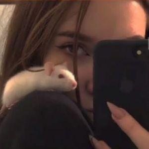 daBabyXdd avatar
