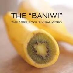 Baniwi avatar
